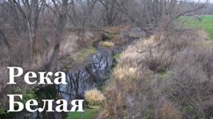 В ЛНР проверили реку Белая на экологические угрозы