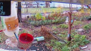 В генеральную прокуратуру РФ Нарушения ПДД и САНПИН