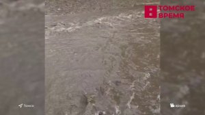 В переулке Заозёрный образуется озеро