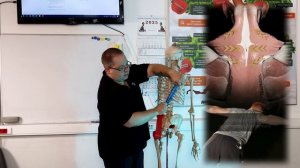 трапеция Анатомия для массажиста #анатомия #массаж #диагностика #реабилитация #обучение #лечение