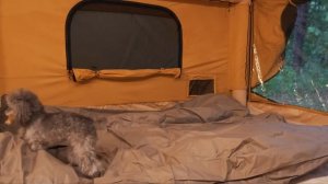 Kirin Camp КЕМПИНГ ПОД СИЛЬНЫМ ДОЖДЕМ С РОСКОШНОЙ ВОЗДУШНОЙ ПАЛАТКОЙㅣЗВУКИ ПРИРОДЫ