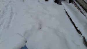 Зима пришла нежданно....