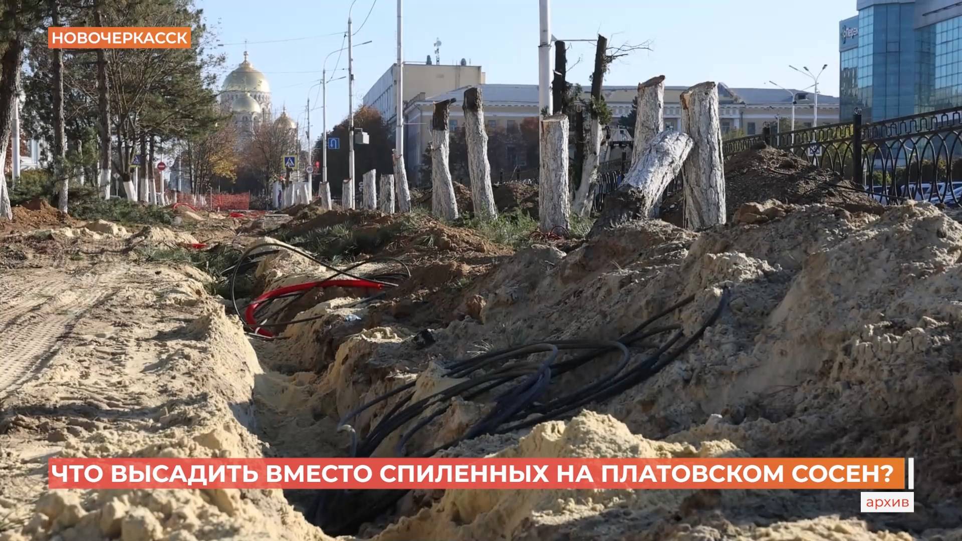 Что сажать на Платовском? - решат новочеркассцы онлайн-голосованием. смотреть онлайн