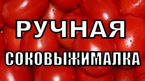 Соковыжималка шнековая из мясорубки