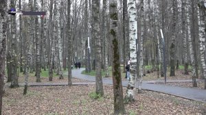 ГОРОД_БЕЗ_БАРЬЕРОВ_ЛОБНЯ