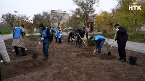 Сотрудники налоговой службы высадили деревья в парке «Дружба»