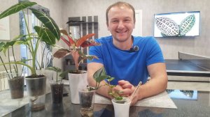 Мечты мои цветочные, пусть сбудутся они