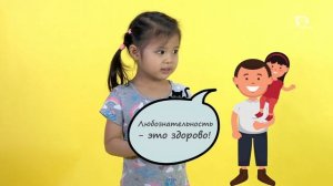 Творение учит нас | Кошки