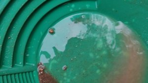 Доьыча золота с помощью лотка