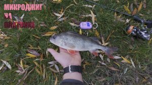 МИКРОДЖИГ.ЛОВЛЯ ЛЕГКИМИ ВЕСАМИ.ПЛАТНИК