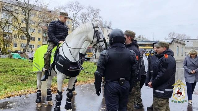 В Нижнем Новгороде сотрудники полиции приняли участие в "Кадетском характере" смотреть онлайн