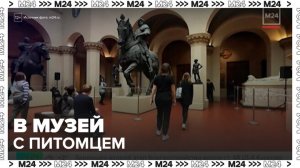 В московские музеи будут пускать с домашними питомцами - Москва 24