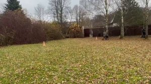 2.  выражено/перв НОРМАН ДОНБАСС-МАСТЕР (Юрай Хип с Саянских Гор – Мальта)