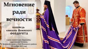 "Мгновение ради вечности". Епископ Венёвский Феодорит.