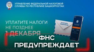 Три налога в одном уведомлении: узнайте, как избежать штрафов до 1 декабря