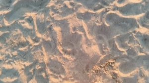 #кусочек моря #приятно вспомнить