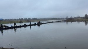 Пополнение акватории форелью !!!