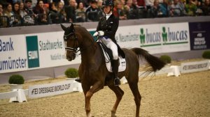 Международная федерация конного спорта допустила россиян до командных турниров