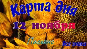 Карта дня🍁 12 ноября 2025🌾🌞Пасьянс.Тайм-код в описании🦢