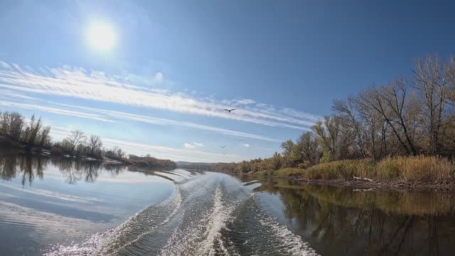 Осенняя рыбалка в Калаче на Дону.  Дедовская снасть в деле!!! Ловля леща на яйца!!! смотреть онлайн