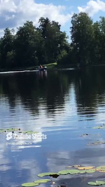 Ленобласть. Хвойное. 13.07.2024. Река Вуокса. Семейная прогулка в выходной день