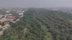 ГИРИРАДЖ МАХАРАДЖ - Е.С. КАВИЧАНДРА СВАМИ (Kavicandra Swami - Srimad Bhagavatam 10.21.18, EN/RU)