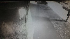 Выхожу и не один я на дорогу . 29 .10. 2025