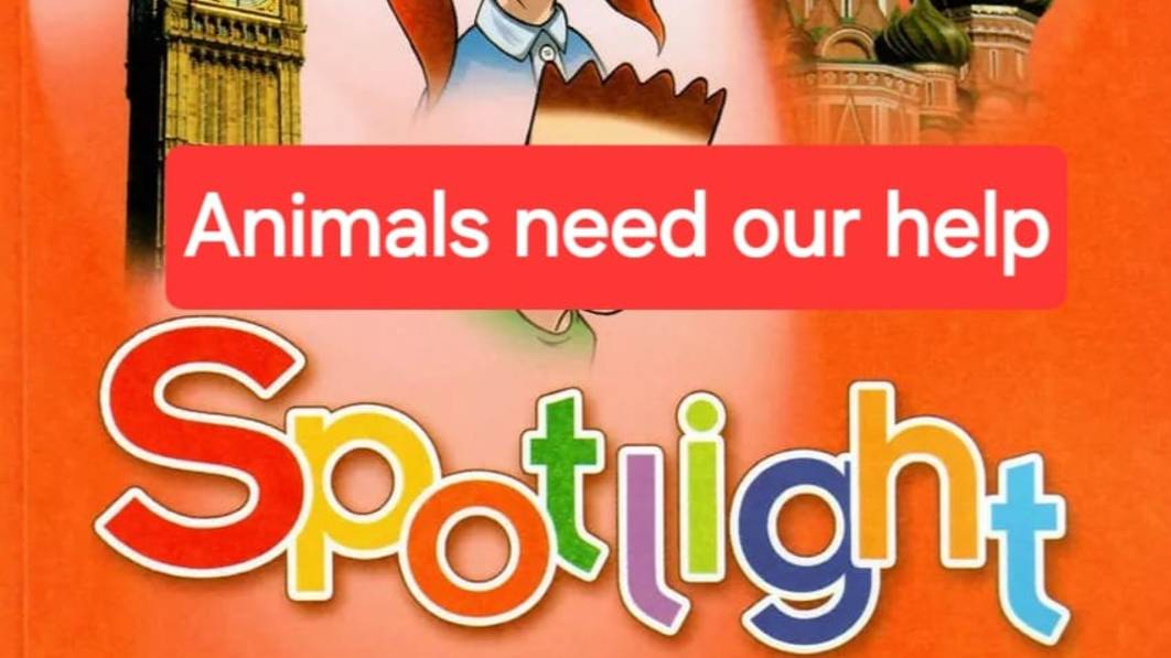 Spotlight 4 (Спотлайт 4), Учебник часть 1, Animals need our help, стр. 81.