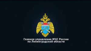 Сотрудники Главного управления МЧС России по Ленинградской области приняли участие в возложении
