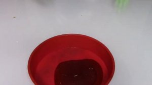 Пишмание Турецкая халва