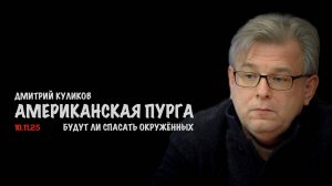 Американская пурга. Будет ли Зеленский спасать окружённых ? | Дмитрий Куликов