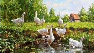 Утро, птичка, снова дождь.