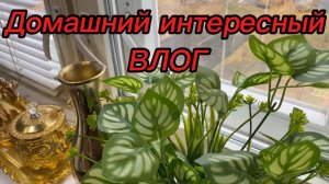 Домашний интересный ВЛОГ‼️👍👋🌹