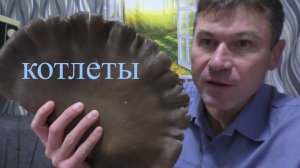 ГРИБНЫЕ КОТЛЕТЫ ПО БАБУШКИНОМУ РЕЦЕПТУ{САЛАТ ПО КОРЕЙСКИ С ГРИБАМИ} РЕЦЕПТ ОТ ПОДПИСЧИКА