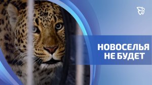 В Николо-Павловском никак не может появиться дом для хищников и экзопарк