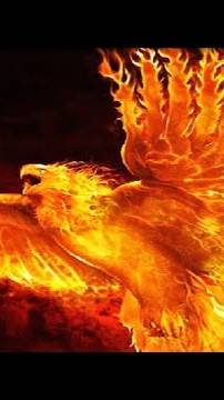 Дота (феня )