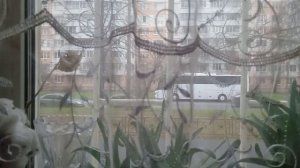 Она стоит всё в той же позе, немного наклонившись к столу, какие ножки! А если снять колготочки...