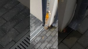 Приехали, проверили, купили дом.