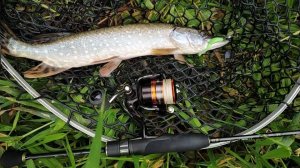 Микро-джиг на притоке Десны, днем 20 сентября 2025 года