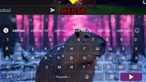 99 ночей и брейнрот эвалюшен