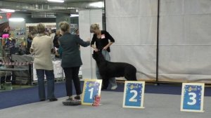 Херберт из Новой Империи