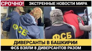 В Башкирии ФСБ задержала восемь человек при попытке диверсии