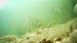 1000004657.mp4Волга гл.1м.10.11.2025г.