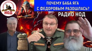 Почему Баба Яга с Евгением Федоровым разошлась? Действия Федорова противодействуют Путину. Кобзев.