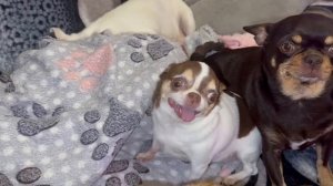 Всем самой доброй ночи и прекрасных снов.