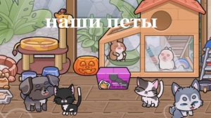 _новое интро_