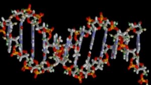 Гаряев-Матрицы.РФ__Мощный заряд энергией матрицей Гаряева и внутренними ресурсами. Сеанс восстан