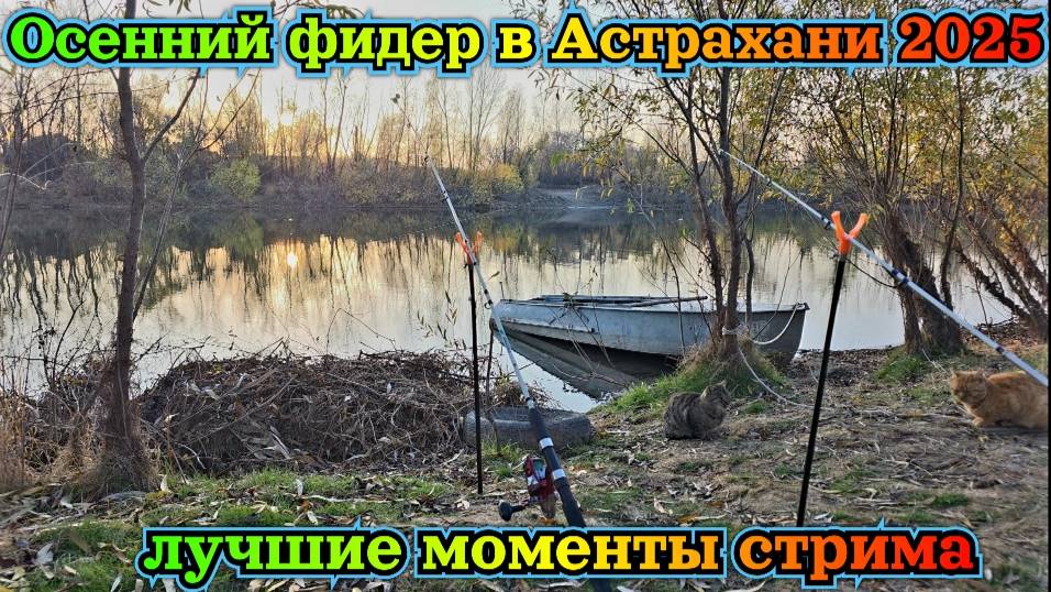 Осенний фидер в Астрахани 2025. Отдых на реке. Лучшие моменты стрима. смотреть онлайн