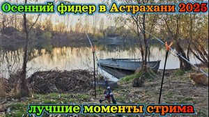 Осенний фидер в Астрахани 2025. Отдых на реке. Лучшие моменты стрима.