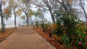 Туманное утро в центре города.